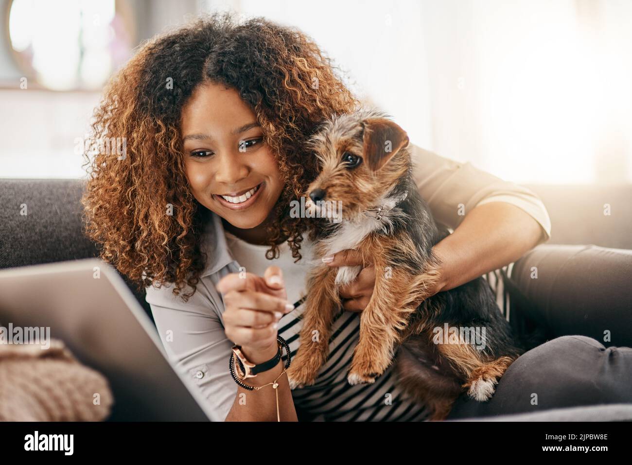Femme et son petit chien à la maison Banque de photographies et d'images à  haute résolution - Alamy