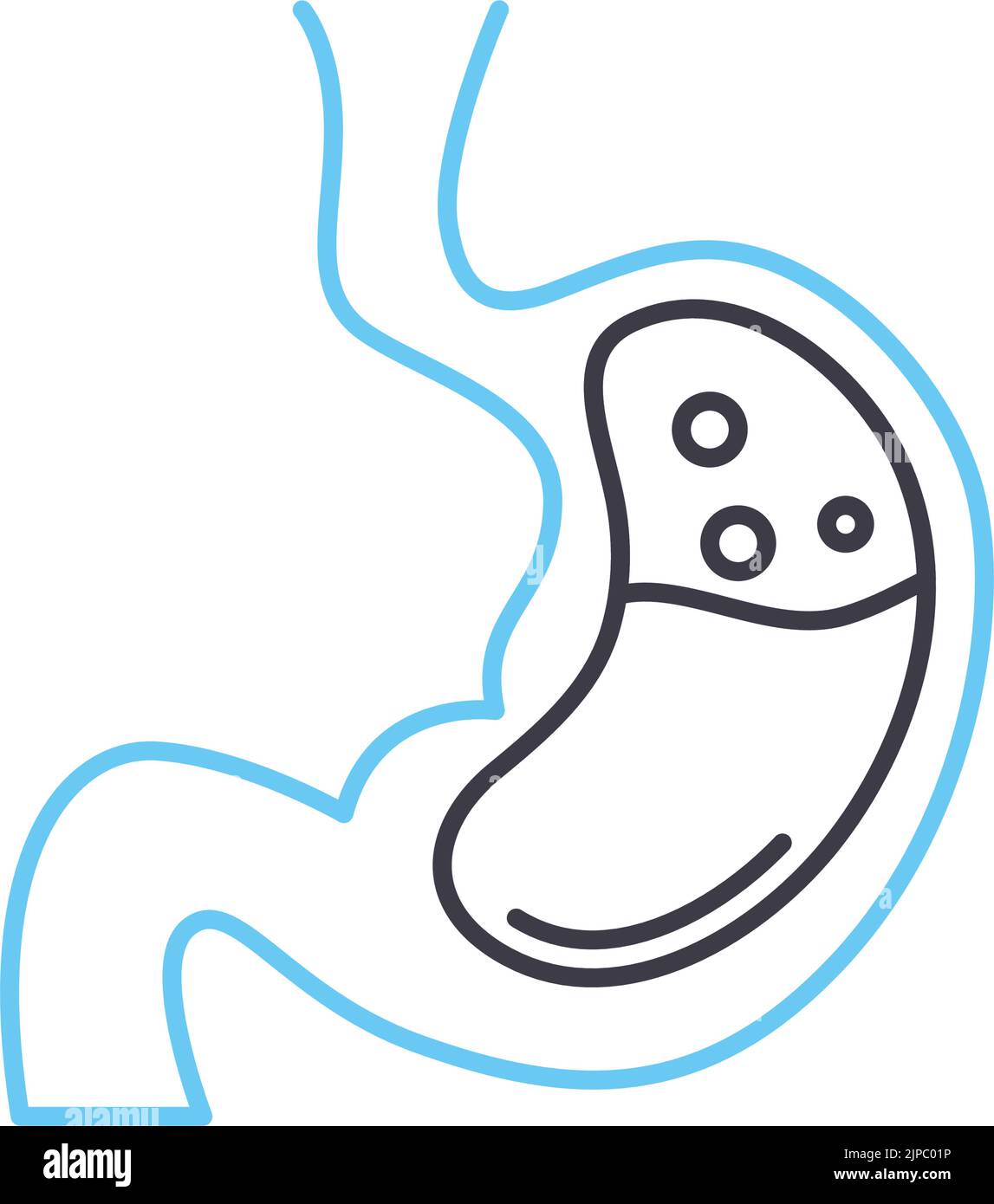 icône de ligne d'estomac, symbole de contour, illustration vectorielle, signe de concept Illustration de Vecteur