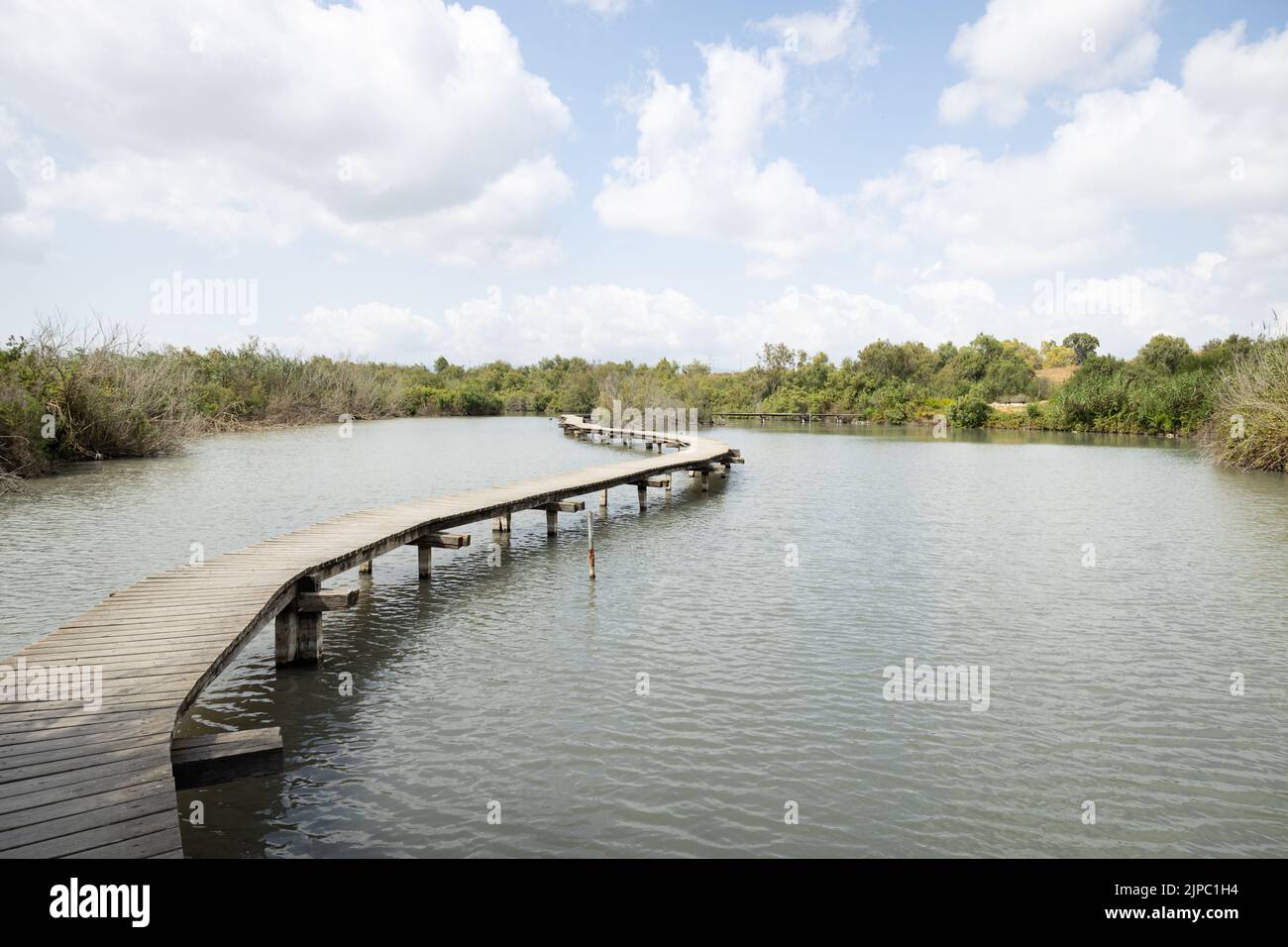 Une passerelle en bois traversant l'eau, réserve naturelle d'Ein Afek, Israël Banque D'Images