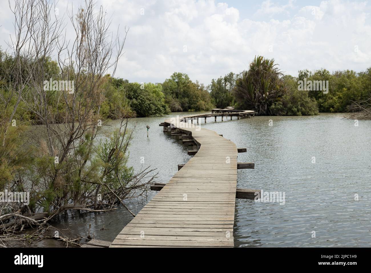 Une passerelle en bois traversant l'eau, réserve naturelle d'Ein Afek, Israël Banque D'Images