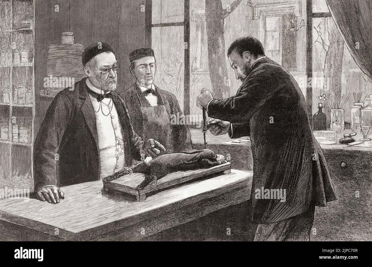 Les associés de Louis Pasteur (à gauche) mènent une expérience sous ses instructions sur un lapin chloroformé. Louis Pasteur, 1822 - 1895. Chimiste et microbiooligiste français qui a découvert, entre autres choses, la pasteurisation et les principes de la vaccination. Il a également été un des premiers promoteurs modernes de la théorie des maladies germinales. Banque D'Images