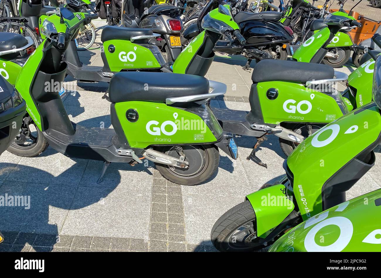 Zandvoort, pays-Bas - 12 août. 2022: Beaucoup de scooters électriques verts avec le logo de LA COMPAGNIE DE PARTAGE DE GO dans le centre-ville Banque D'Images