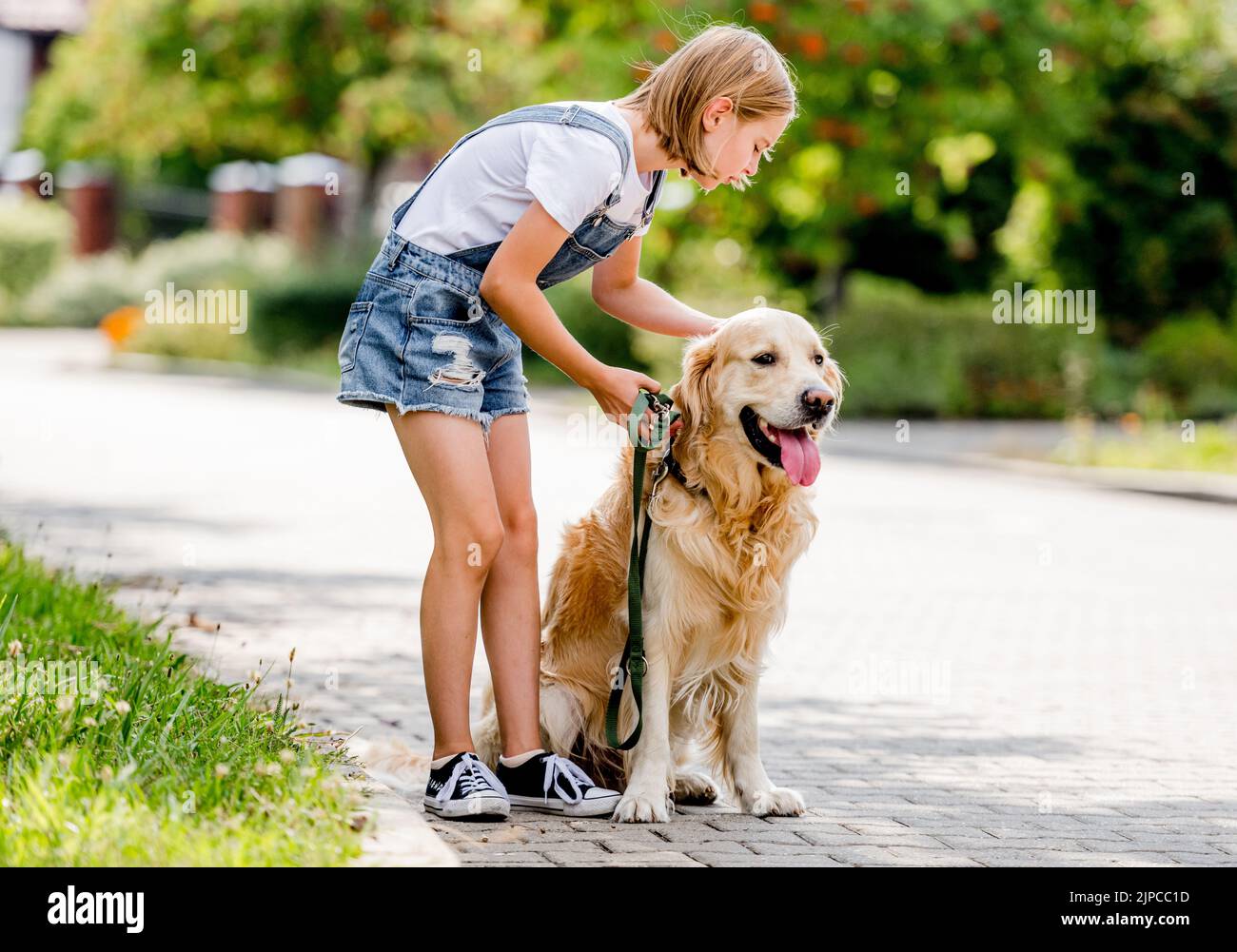 Fille et chien Golden Retriever Banque D'Images