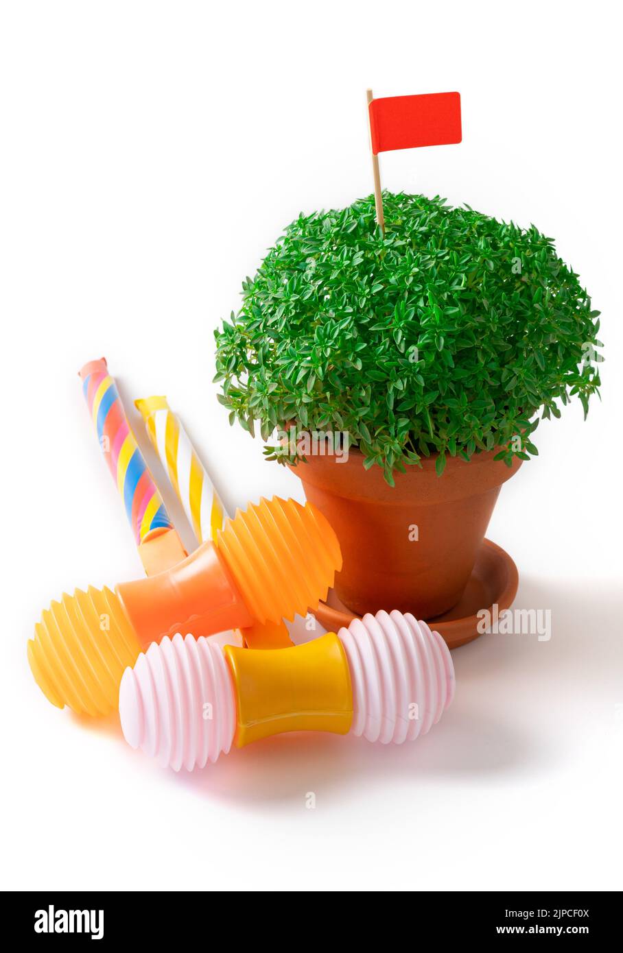 marteaux de plantes et de jouets manjerico Banque D'Images