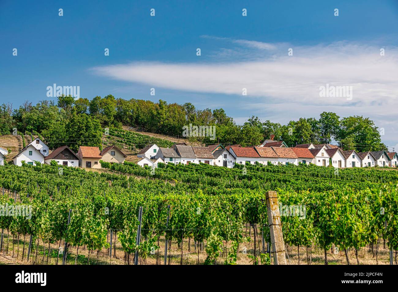 Galgenberg. Célèbre cave à Wildendürnbach, Weinviertel. De beaux