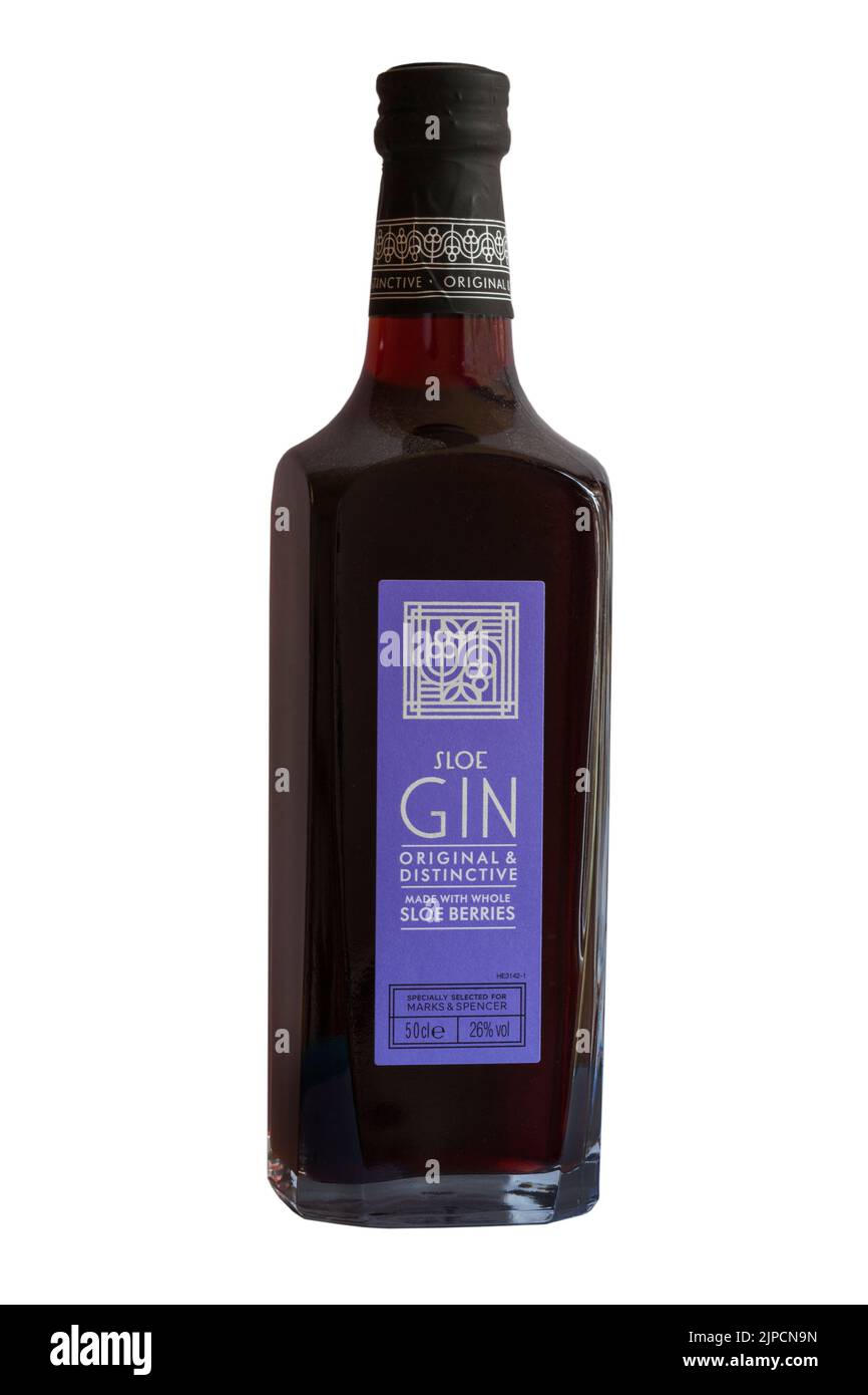 Bouteille de Sloe Gin originale et originale faite avec des baies de