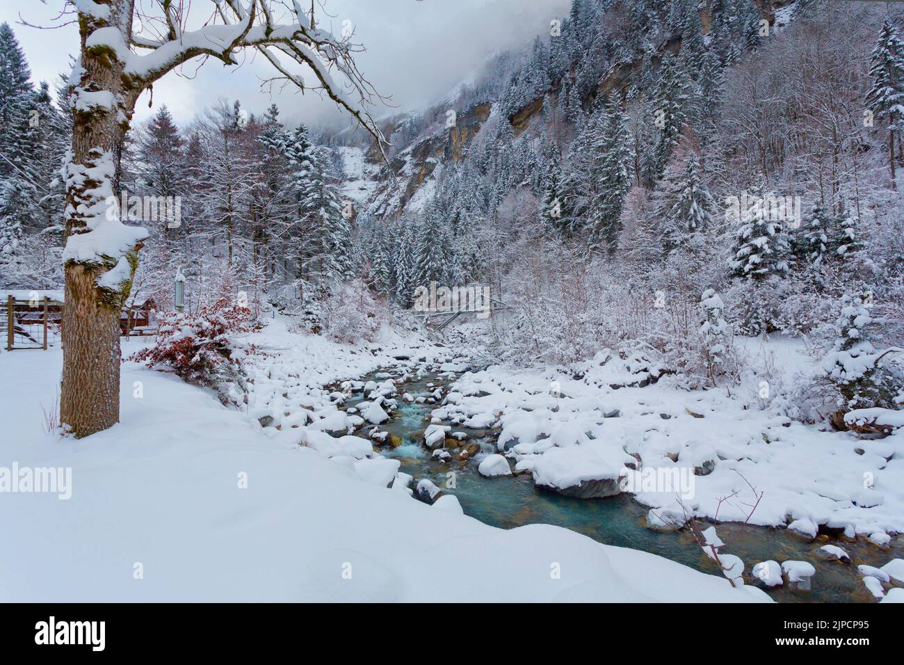 Rivière de montagne Beatuful dans les Alpes suisses, Suisse Banque D'Images