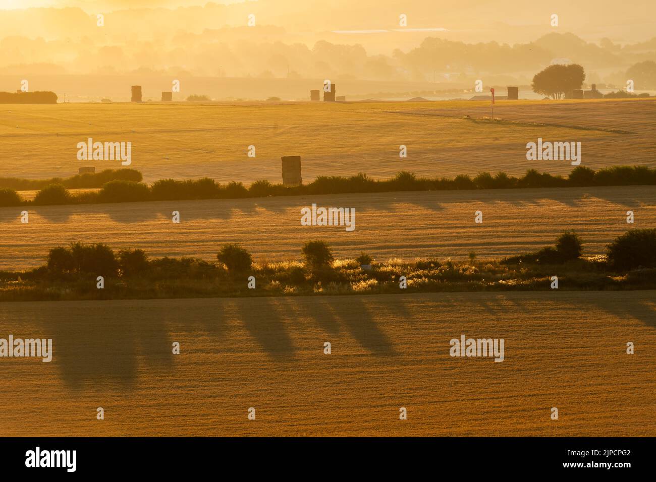 Matin d'été à Salisbury Plain, Wiltshire, Angleterre. Banque D'Images