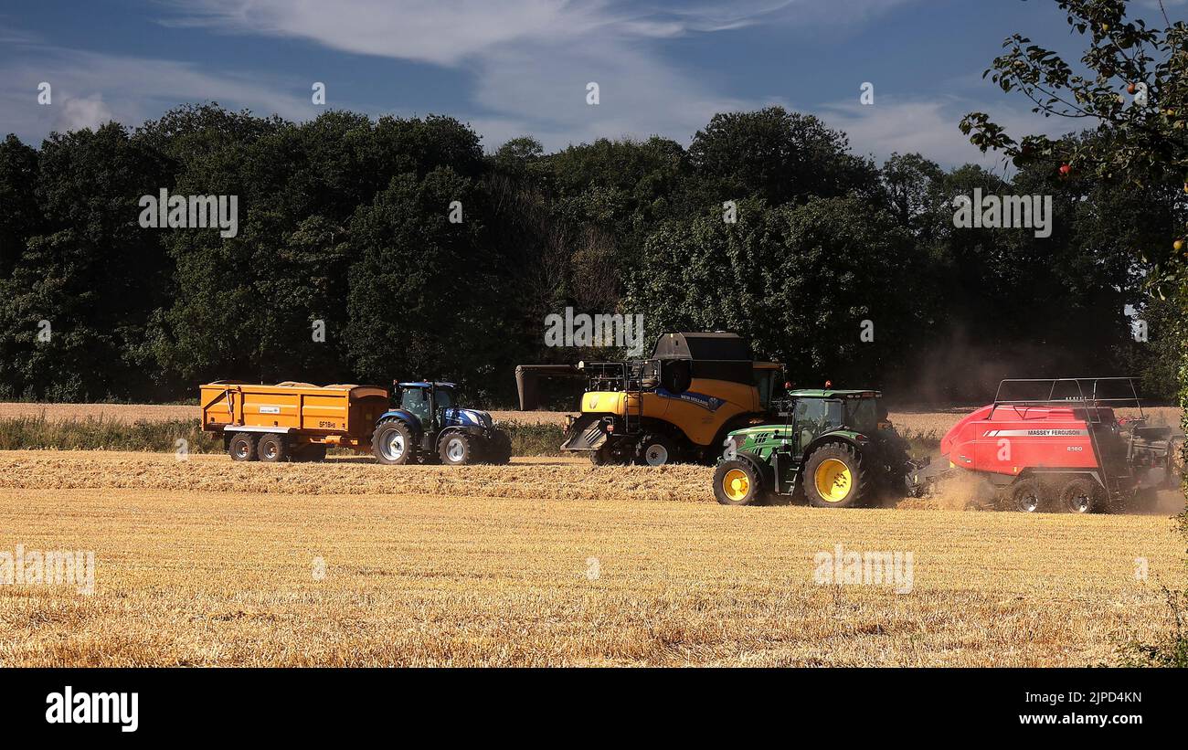 Agriculture en cours, temps de récolte Banque D'Images
