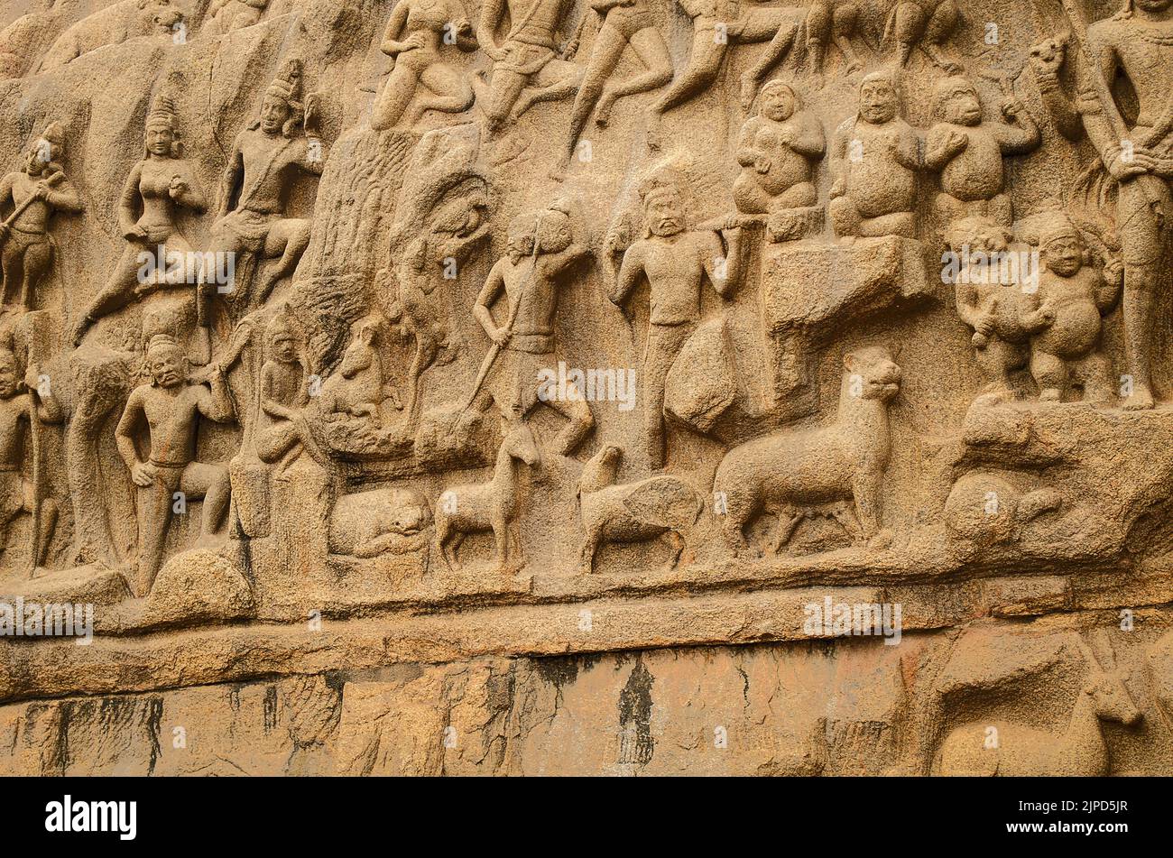 Arjuna’s Penance est un monument situé à Mahabalipuram, au Tamil Nadu, en Inde. Sculpté sur deux blocs de roche monolithiques. Un site classé au patrimoine mondial de l'UNESCO, Banque D'Images