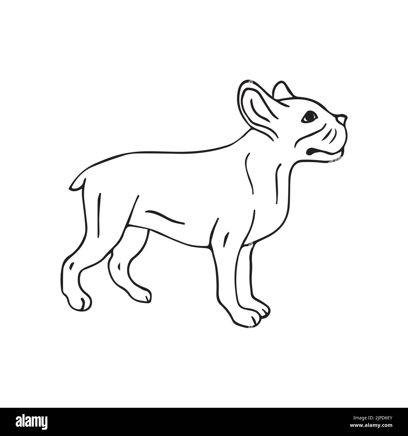 Dessin d'un chien de taureau à la main vectorisé à la main Illustration de Vecteur