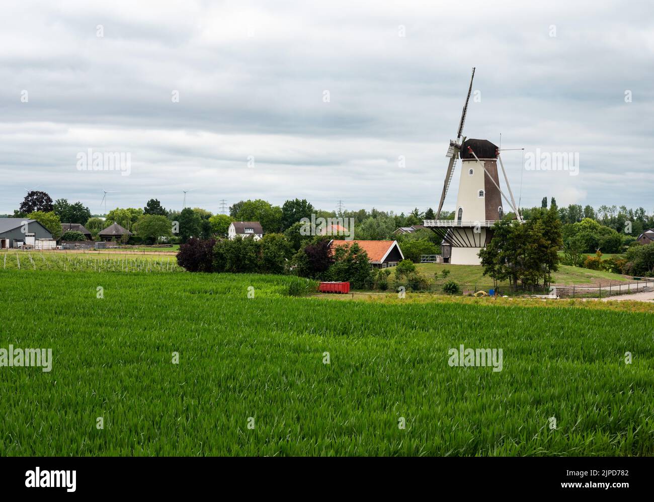 Dodewaard, Gelderland, pays-Bas - 07 12 2022 - vue sur les terres agricoles et un ancien moulin à vent Banque D'Images