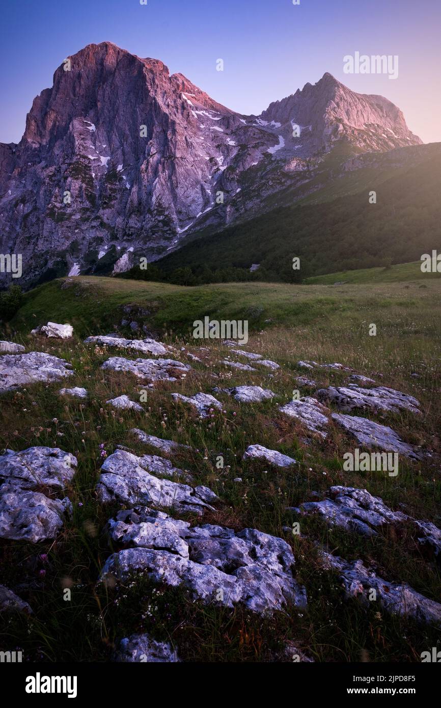 Nature sauvage Banque D'Images