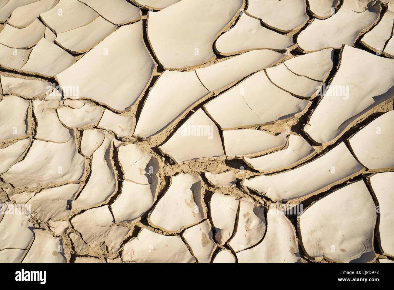 Motifs en argile dans un lit de rivière sec, changement climatique symbolique. Rivière Swakop, Namibie, Afrique Banque D'Images