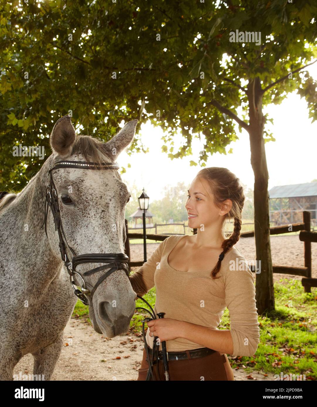 Le Vieux Cheval De Passe-temps De Source De Childâs a Isolé Photo stock
