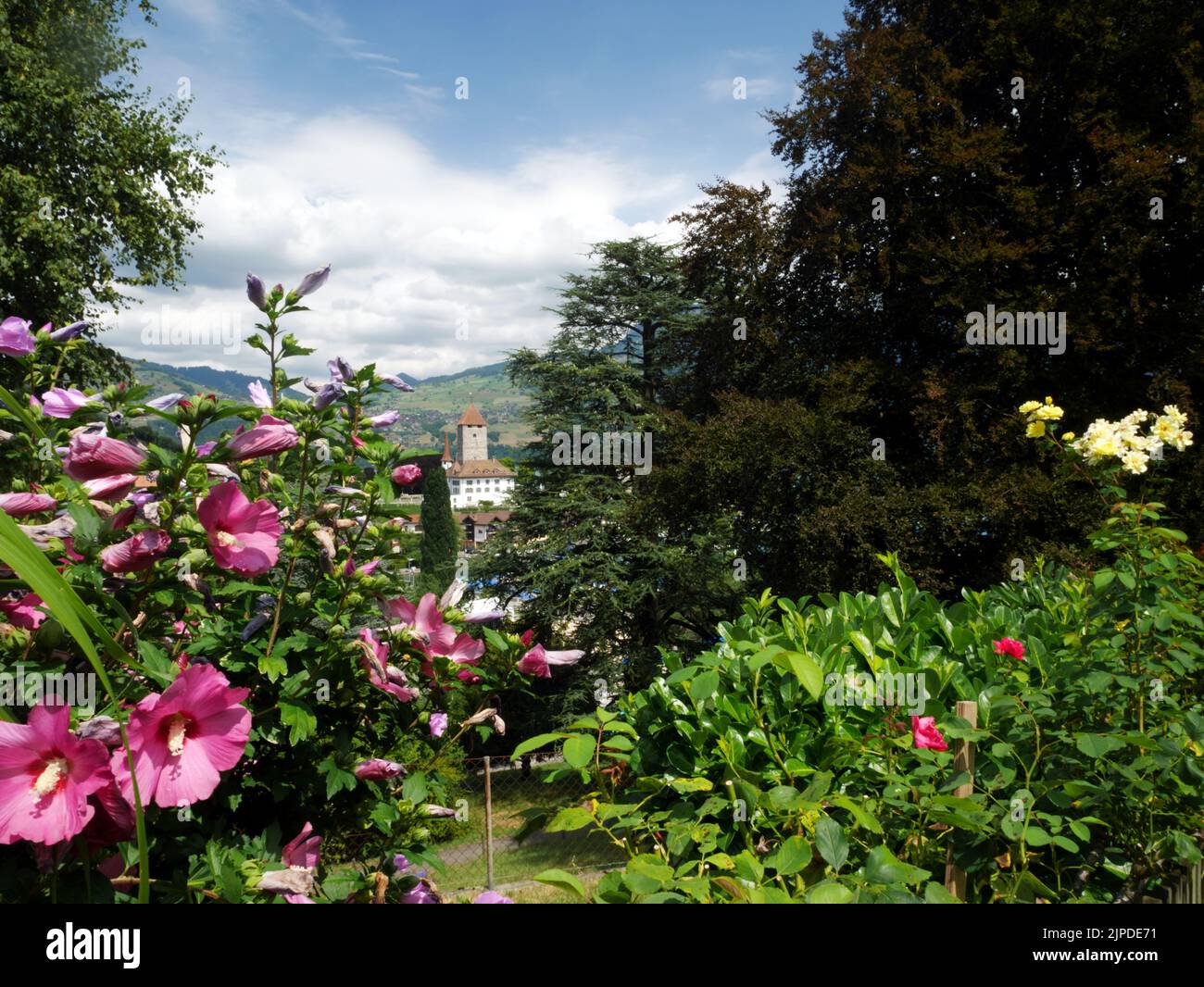 Château de Spiez, Spiez, Lac Thun, Interlaken, Suisse. Banque D'Images