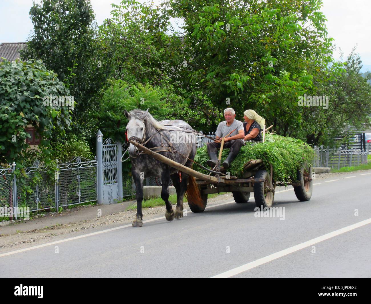 Un comté du nord de la Roumanie, dans la région de Moldova, a presque autant de charrettes tirées par des chevaux qu'il a des voitures. Banque D'Images