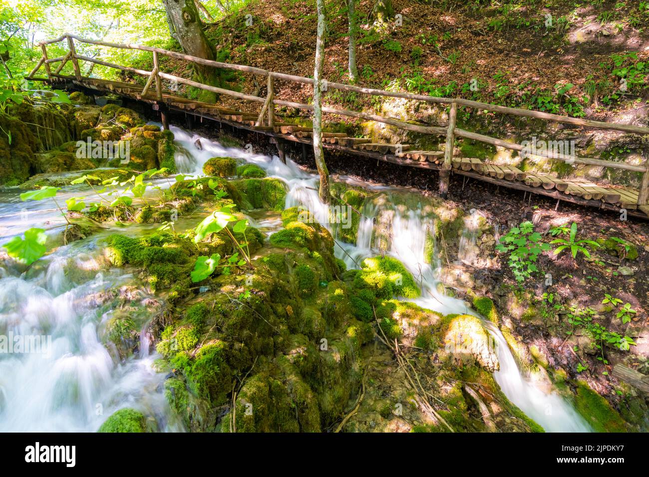 Cascade magique dans la forêt profonde au parc national de Croatie Plitvice. Eau douce dans un endroit paisible. Banque D'Images