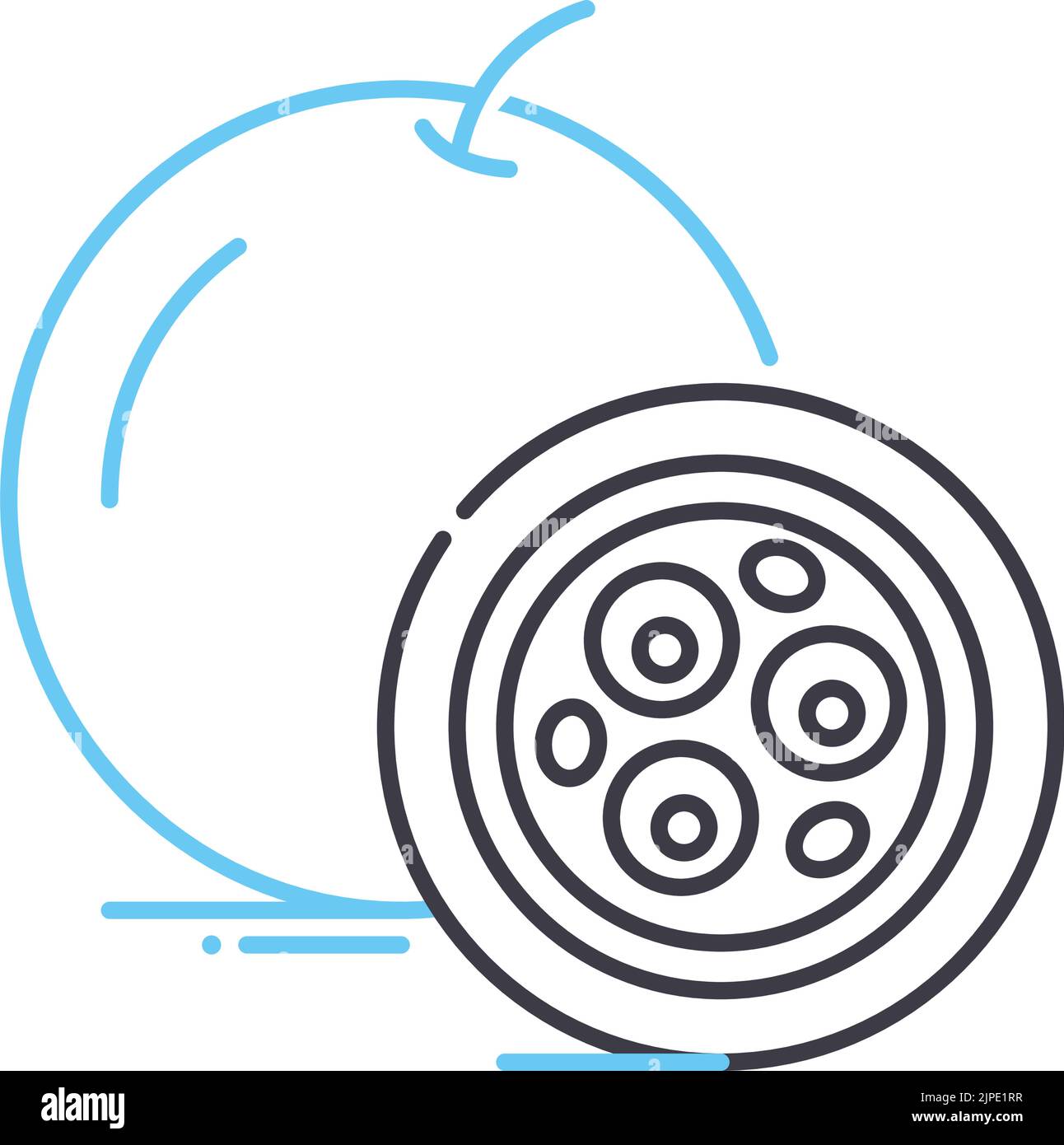 icône de ligne de fruit de la passion, symbole de contour, illustration vectorielle, signe de concept Illustration de Vecteur