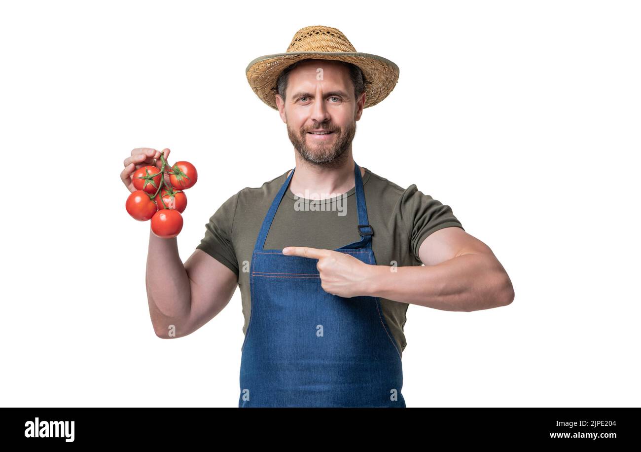 greengrocer en tablier et chapeau avec légume de tomate isolé sur blanc  Photo Stock - Alamy