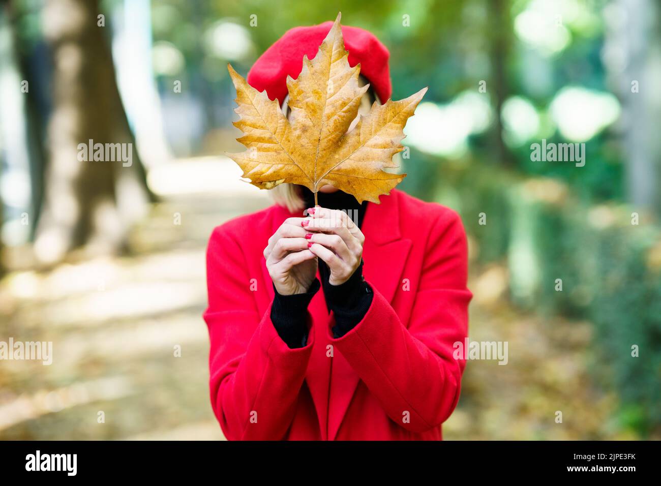 Femme anonyme couvrant le visage avec une feuille d'automne Banque D'Images