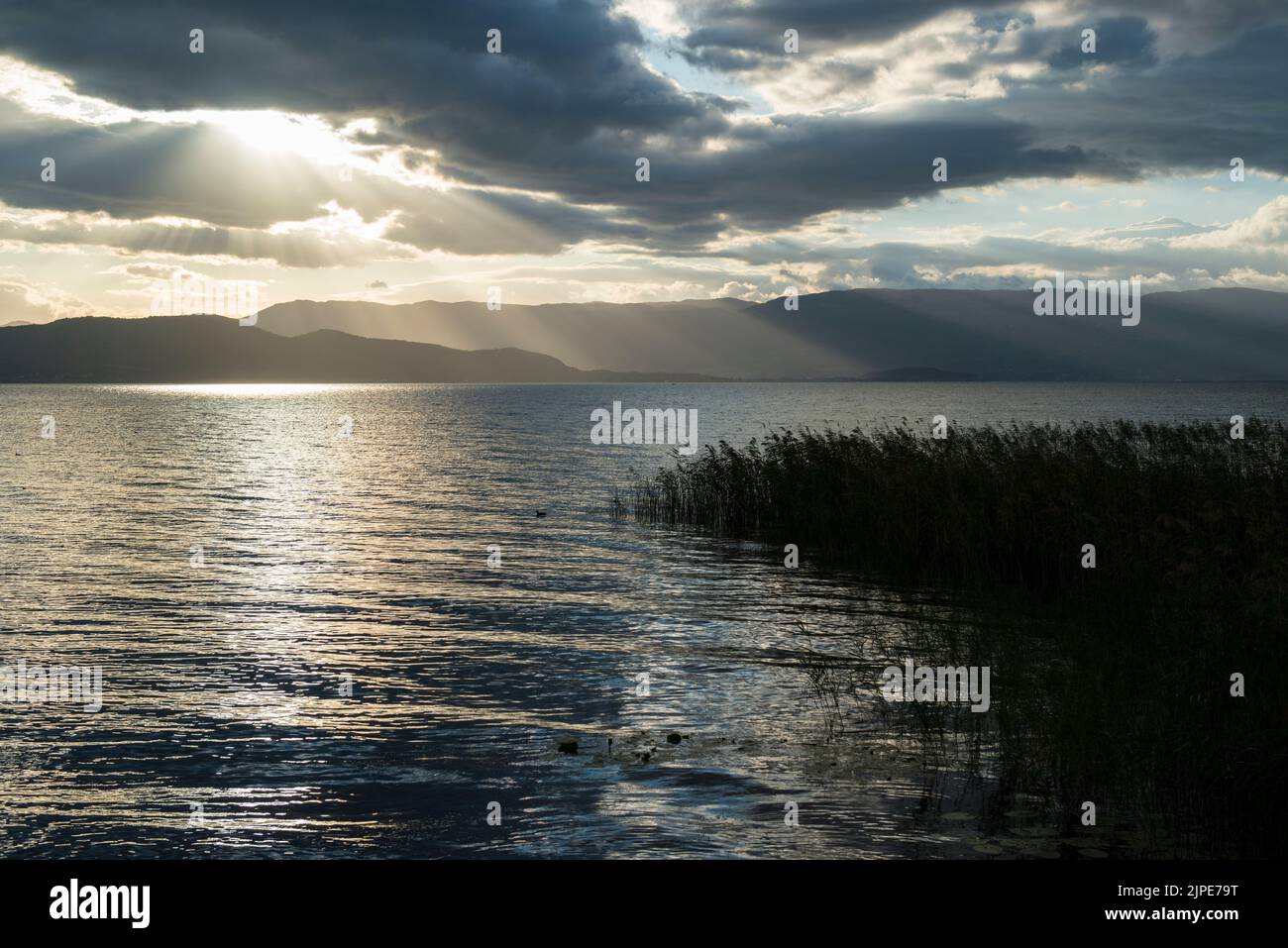 Soleil derrière les nuages au-dessus de la rive couverte de roseaux du lac Ohrid, Macédoine du Nord, Europe Banque D'Images
