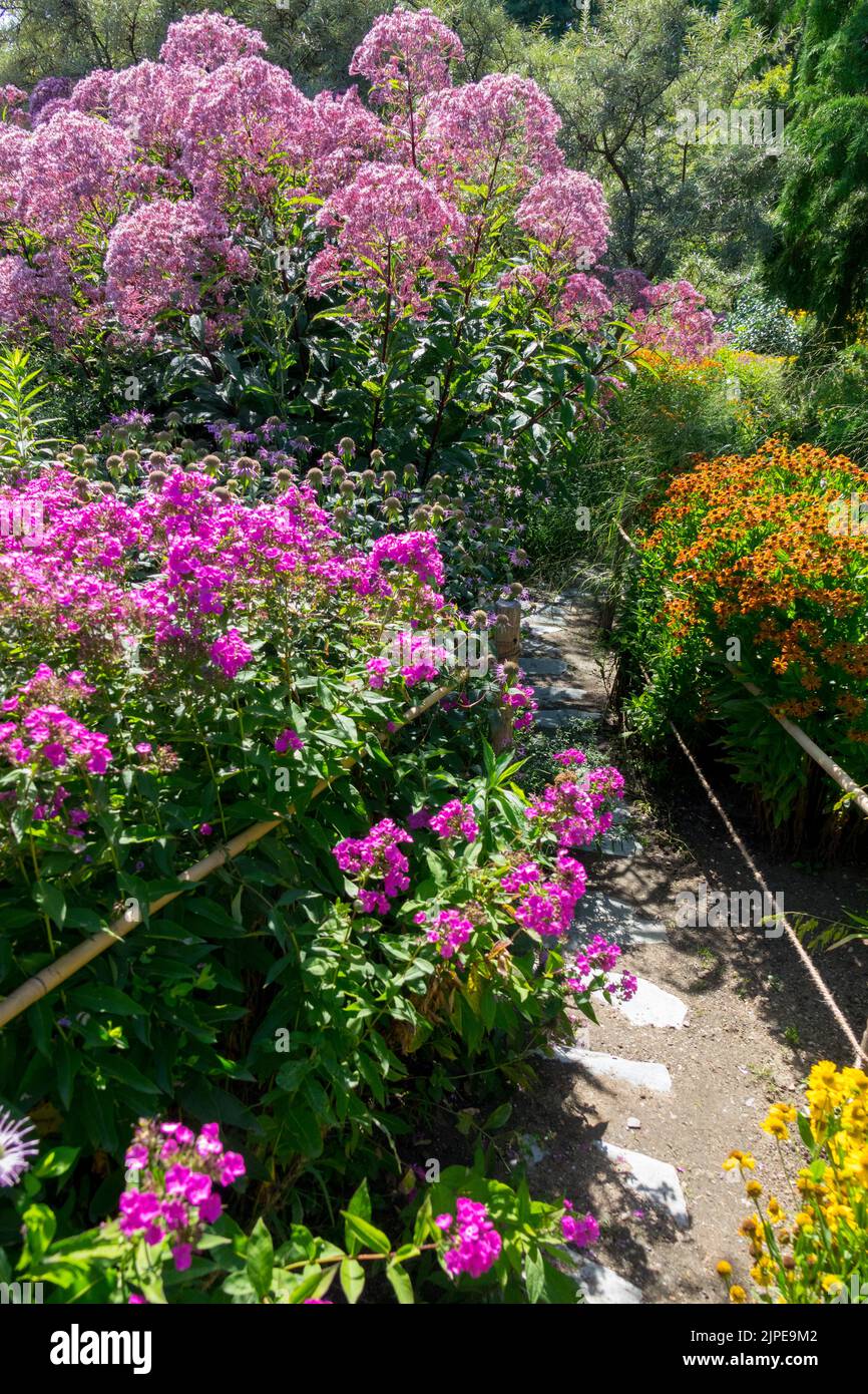 Chemin de jardin d'été coloré dans les plantes fleurs de Phlox Sweet Joe Pye Weed fleur de Helens jardin d'été bordure août Blooming Garden phlox Mid-Summer Banque D'Images