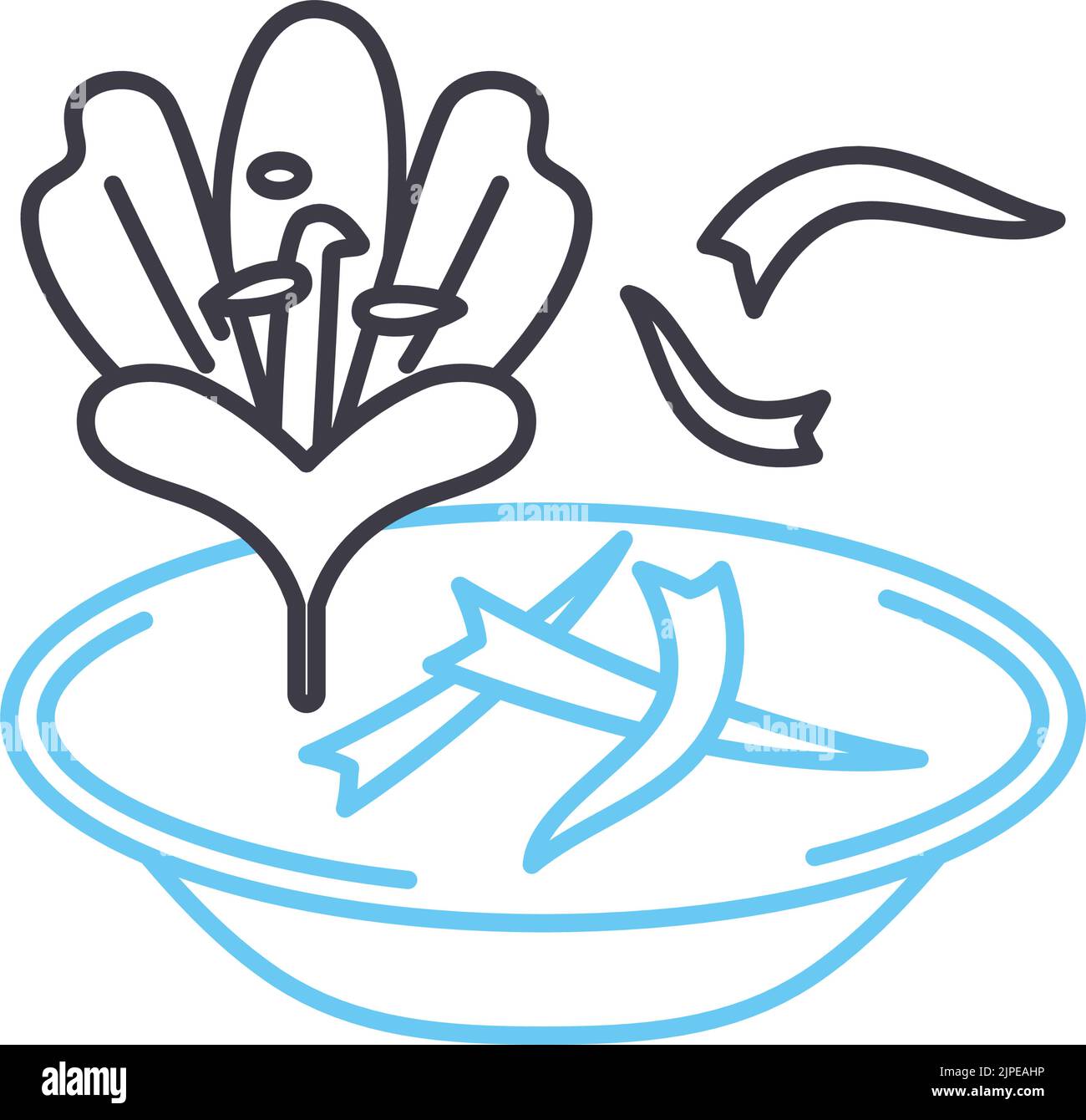 icône de ligne de safran, symbole de contour, illustration vectorielle ...