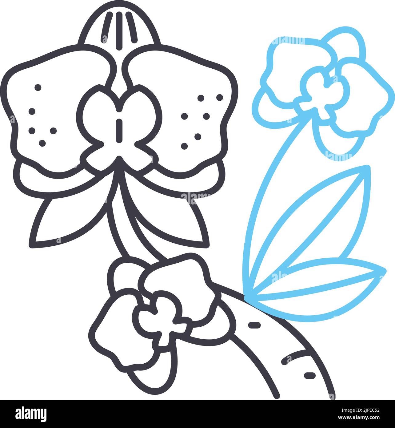 icône de ligne d'orchidée, symbole de contour, illustration vectorielle, signe de concept Illustration de Vecteur