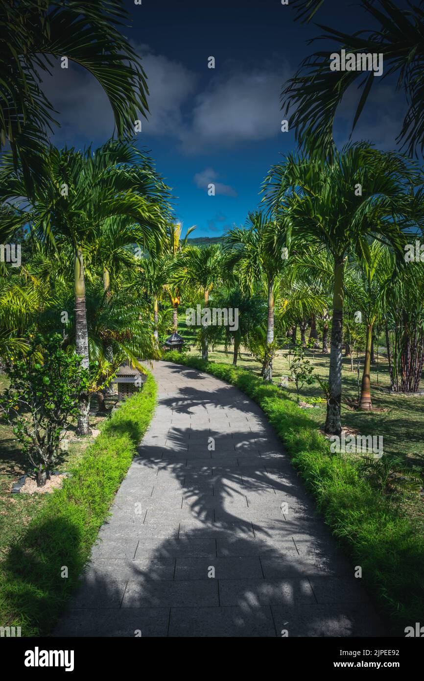 Sentier de randonnée dans le parc exotique Banque D'Images