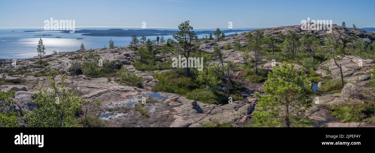 Vue imprenable sur le parc national de Skuleskogen et la haute côte de Suède Banque D'Images