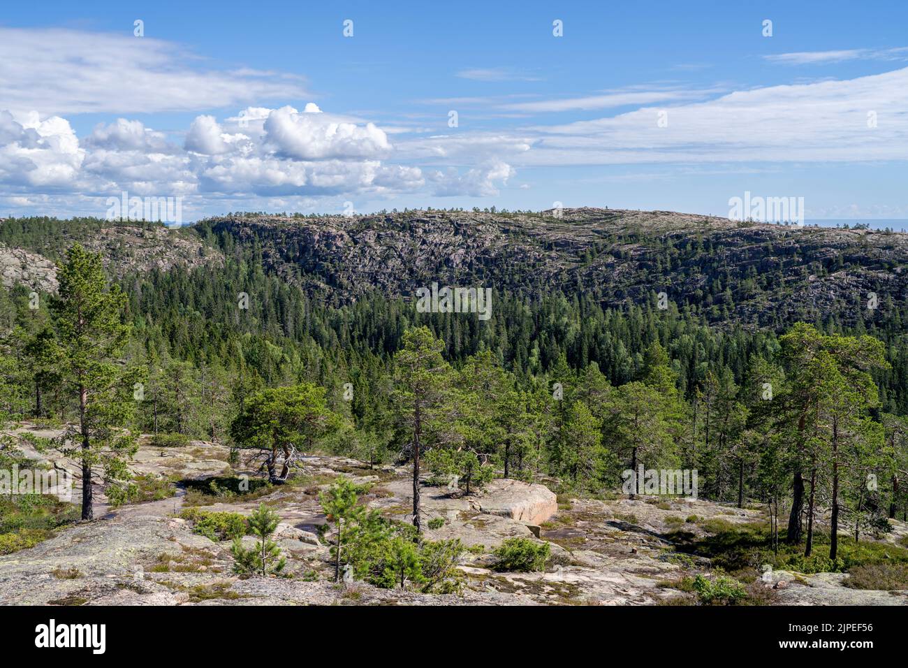 Vue imprenable sur le parc national de Skuleskogen et la haute côte de Suède Banque D'Images
