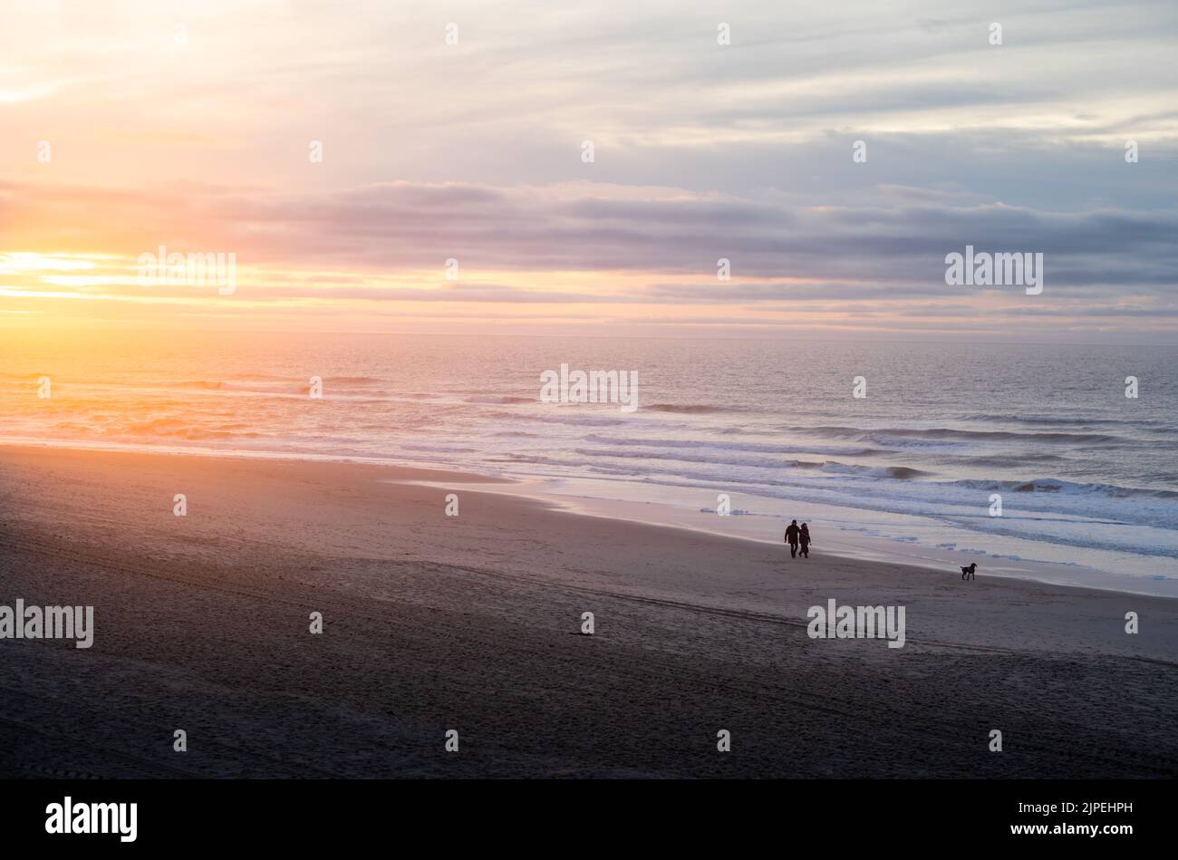 Couple marche avec chien sur la plage solitaire pendant le coucher du soleil, Sylt, Allemagne Banque D'Images