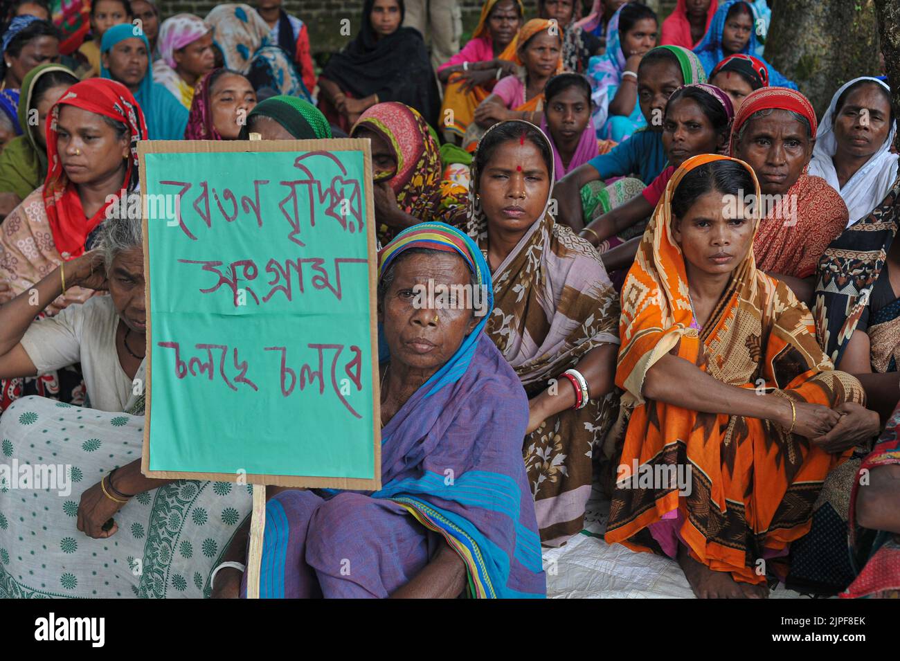 Sylhet, Mexico, Bangladesh. 16th août 2022. 16 août 2022, Sylhet, Bangladesh: Les travailleurs des plantations de thé du Bangladesh ont été en grève et agitation au cours de la dernière semaine dans 241 plantations de thé à travers le pays, exigeant une augmentation de 300 000 savoirs traditionnels par jour (3,16 USD). La photo a été prise aujourd'hui à 11:30 du Sylhet Malnichhara Tea Garden. À l'heure actuelle, chaque travailleur obtient un salaire de 120 TK ( 1,26 USD ) pour travailler 8 heures par jour. Sur 16 août 2022 à Sylhet, Bangladesh. (Credit image: © MD Rafayat Haque Khan/eyepix via ZUMA Press Wire) Banque D'Images