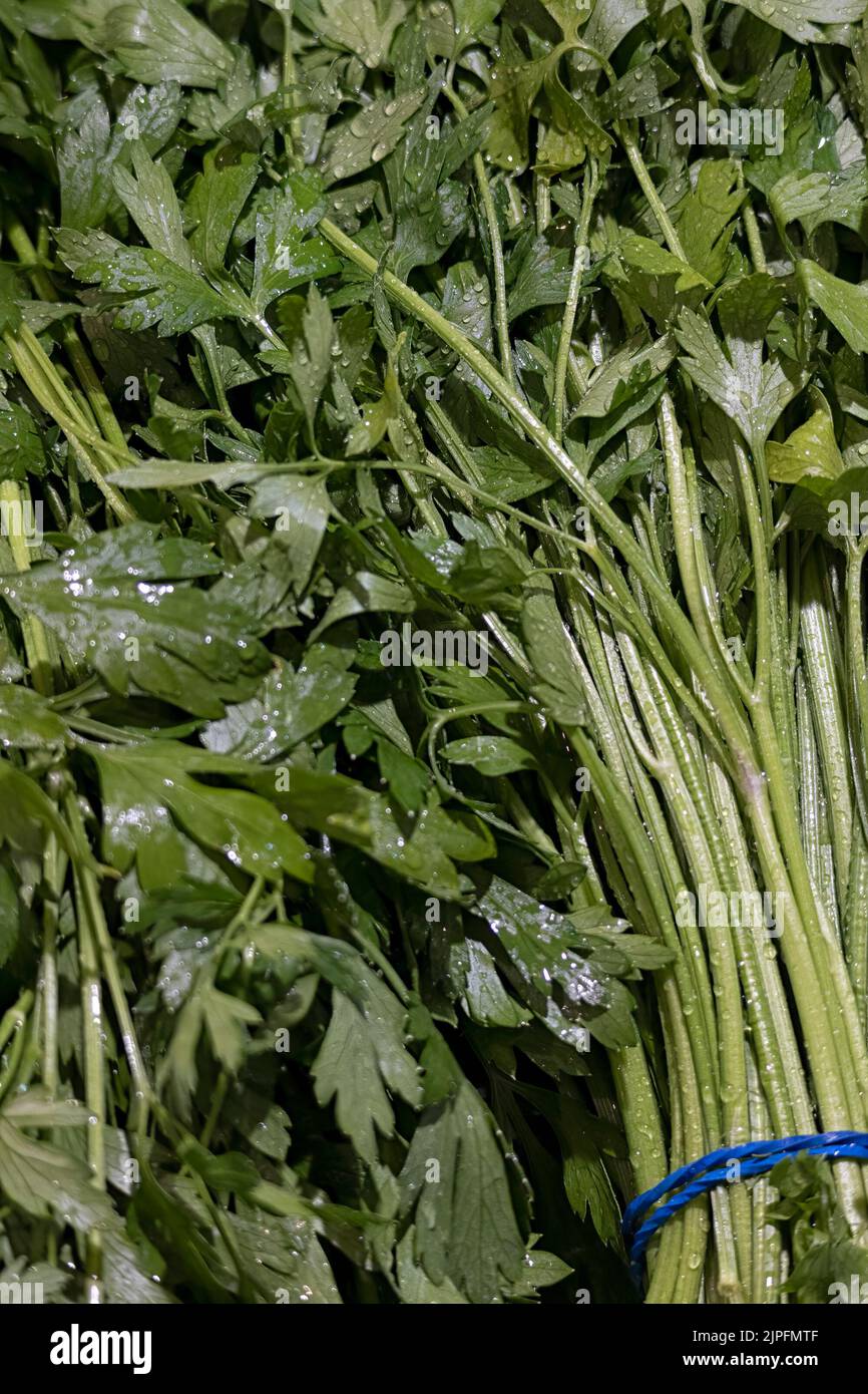 Petits pains frais de persil plat sur un marché alimentaire Banque D'Images