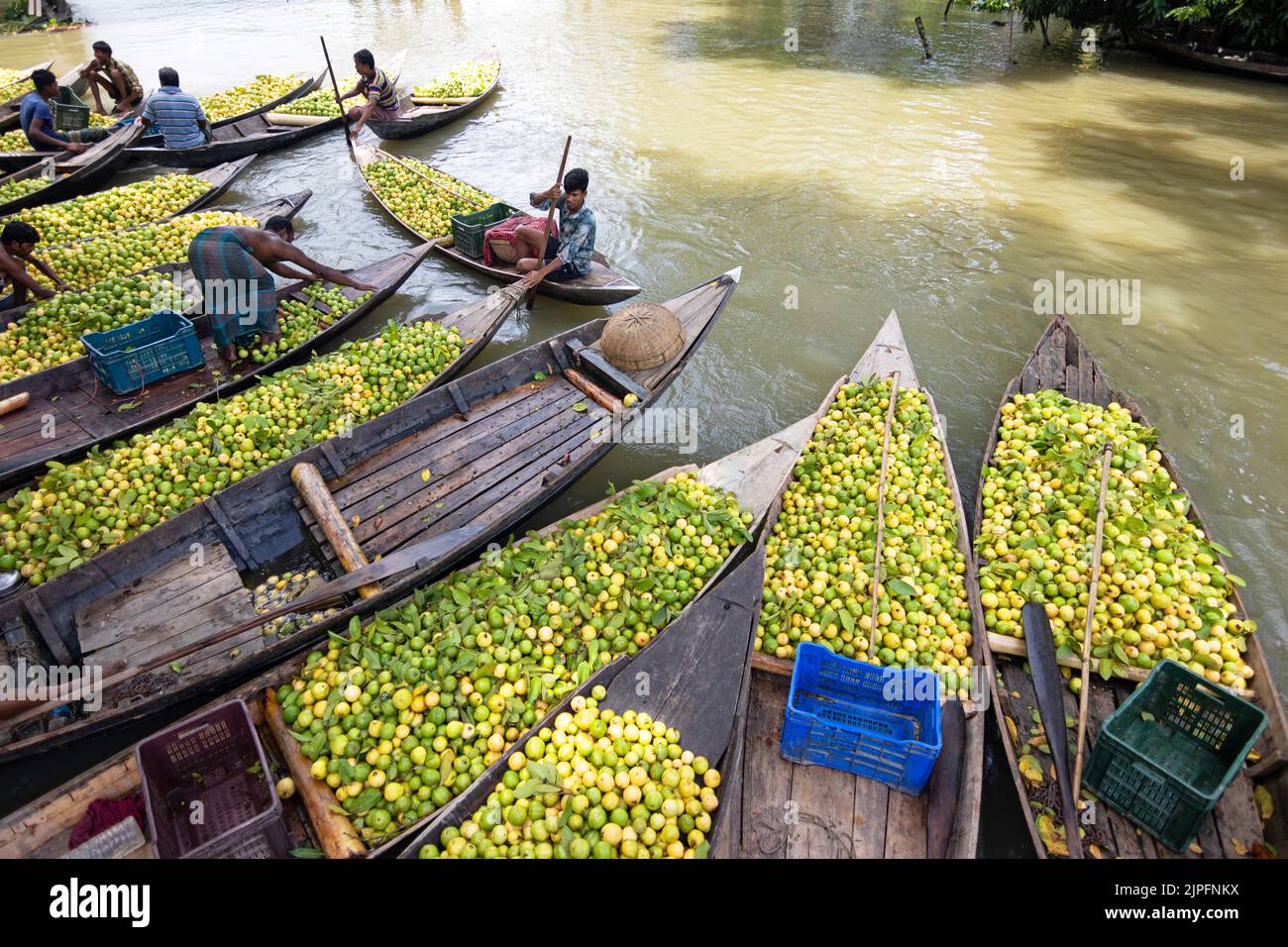 Barisal, Barisal, Bangladesh. 18th août 2022. Un marché flottant de la Guava dans le sud du district de Barisal, connu sous le nom de ''la Venise du Bengale'', est maintenant en effervescence avec les acheteurs et les vendeurs à Swarupkathi, Barisal, Bangladesh, alors que la récolte de la goyave est sur son pic. Il y a des centaines de bateaux remplis de goyave et tous les métiers se produisent sur des bateaux. Comme Barisal est le plus grand producteur de variétés indigènes de goyave du pays, avec un volume de production annuel dépassant 15 000 tonnes métriques, les agriculteurs dépendent fortement de l'agriculture de goyave. Crédit : ZUMA Press, Inc./Alay Live News Banque D'Images