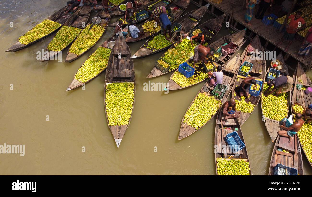 Barisal, Barisal, Bangladesh. 18th août 2022. Un marché flottant de la Guava dans le sud du district de Barisal, connu sous le nom de ''la Venise du Bengale'', est maintenant en effervescence avec les acheteurs et les vendeurs à Swarupkathi, Barisal, Bangladesh, alors que la récolte de la goyave est sur son pic. Il y a des centaines de bateaux remplis de goyave et tous les métiers se produisent sur des bateaux. Comme Barisal est le plus grand producteur de variétés indigènes de goyave du pays, avec un volume de production annuel dépassant 15 000 tonnes métriques, les agriculteurs dépendent fortement de l'agriculture de goyave. Crédit : ZUMA Press, Inc./Alay Live News Banque D'Images