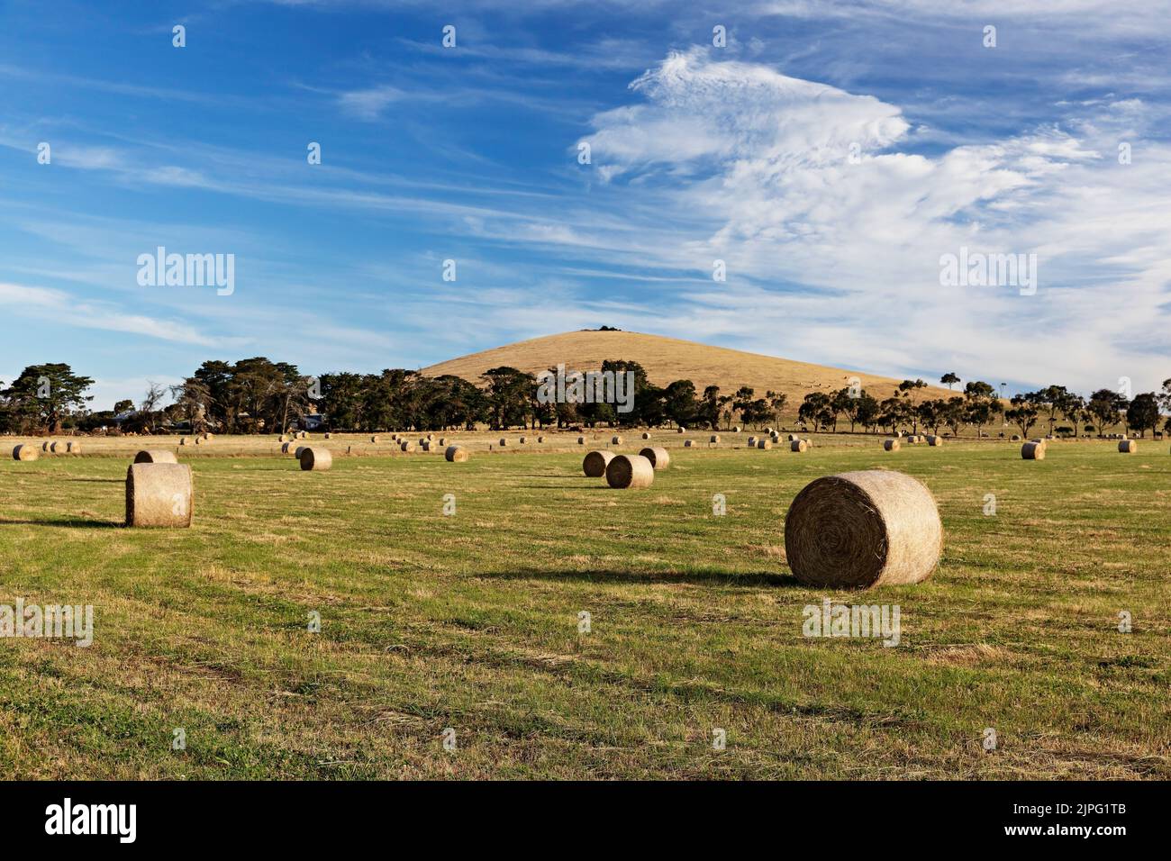 Balllarat Australie / balles de foin dans un champ à Blowhard dans les zones rurales environnantes de Ballarat. Banque D'Images