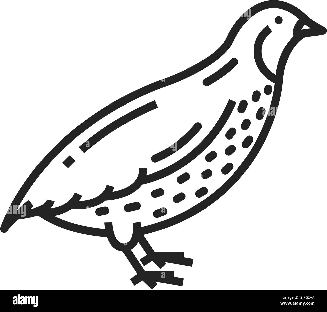 Icône monochrome isolée oiseau caille. Animaux de la ferme de perdrix vectoriels, volaille et chasse Illustration de Vecteur