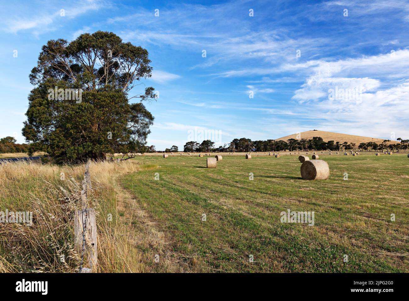 Balllarat Australie / balles de foin dans un champ à Blowhard dans les zones rurales environnantes de Ballarat. Banque D'Images