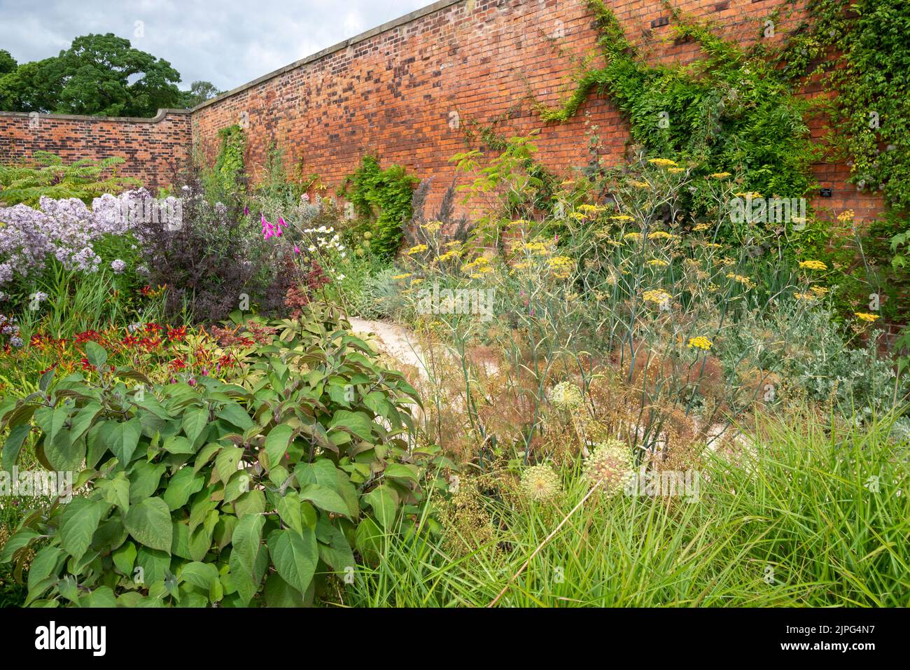 Bordure herbacée incluant une usine de fenouil en bronze dans le jardin clos de RHS Bridgewater, Grand Manchester, Angleterre. Banque D'Images