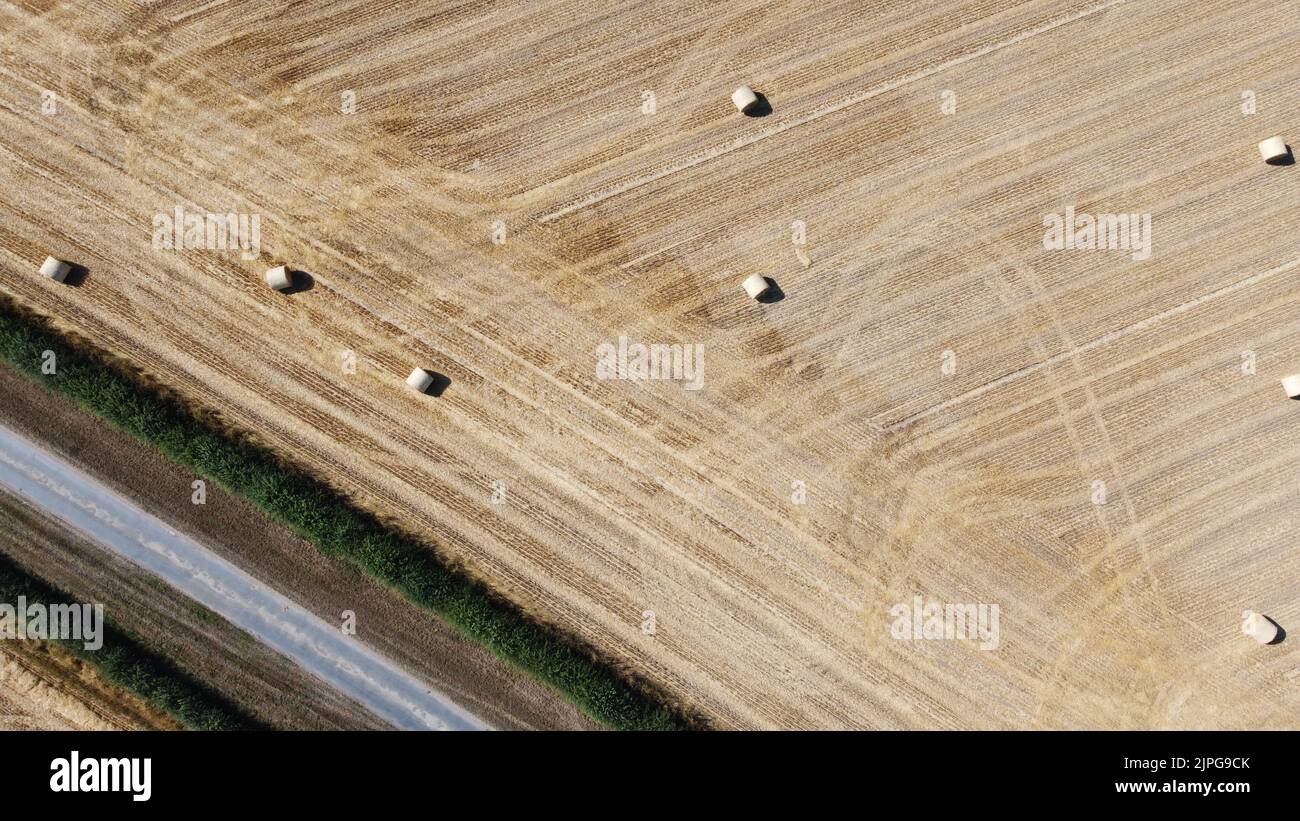 Vue aérienne des balles de foin dans le champ de l'agriculteur Banque D'Images