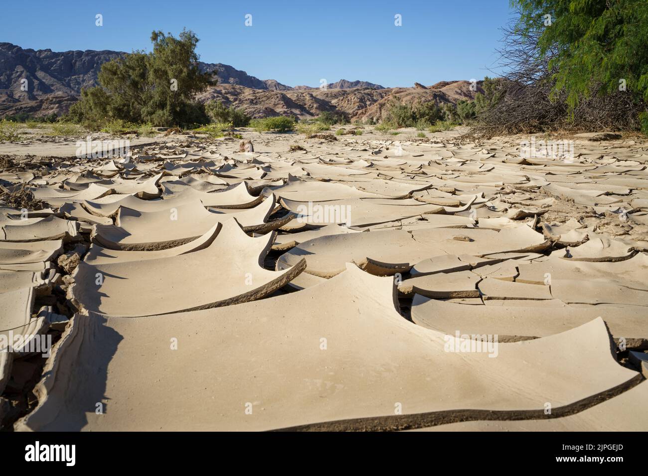Paysage sec de lit de rivière de boue séchée comme motifs sur le sol avec arbre et montagnes toile de fond. Rivière Swakop, Namibie, Afrique Banque D'Images