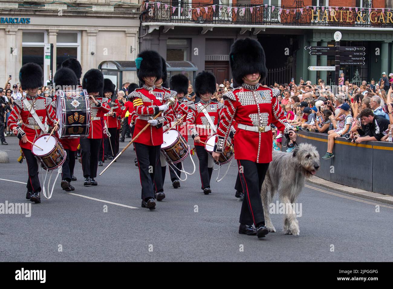 Windsor, Berkshire, Royaume-Uni. 18th août 2022. C'était une journée chargée à Windsor aujourd'hui, alors que les touristes et les habitants se sont enfurés pour voir la relève de la garde au château de Windsor. Irish Wolf Hound Seamus a dirigé aujourd'hui la parade des gardes irlandais du bataillon de 1st et de la garde du château de Windsor. La police armée de la vallée de la Tamise patrouillait tout au long du défilé à l'extérieur du château de Windsor. Crédit : Maureen McLean/Alay Live News Banque D'Images