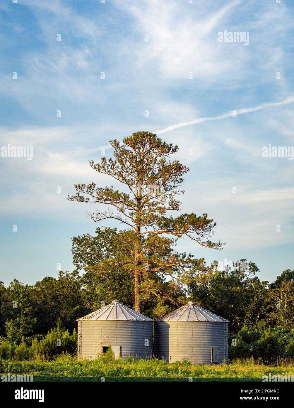 Une paire de silos à grains métalliques sur le bord d'un champ d'arachides dans le sud de la Géorgie à l'heure d'or. Banque D'Images