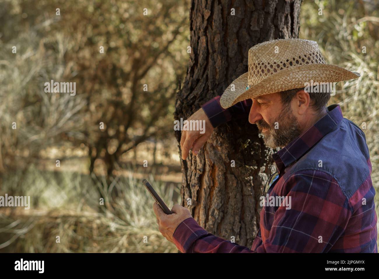 gros plan d'un homme barbu avec un chapeau et une barbe en utilisant son téléphone cellulaire dans les bois à la recherche d'une couverture Banque D'Images