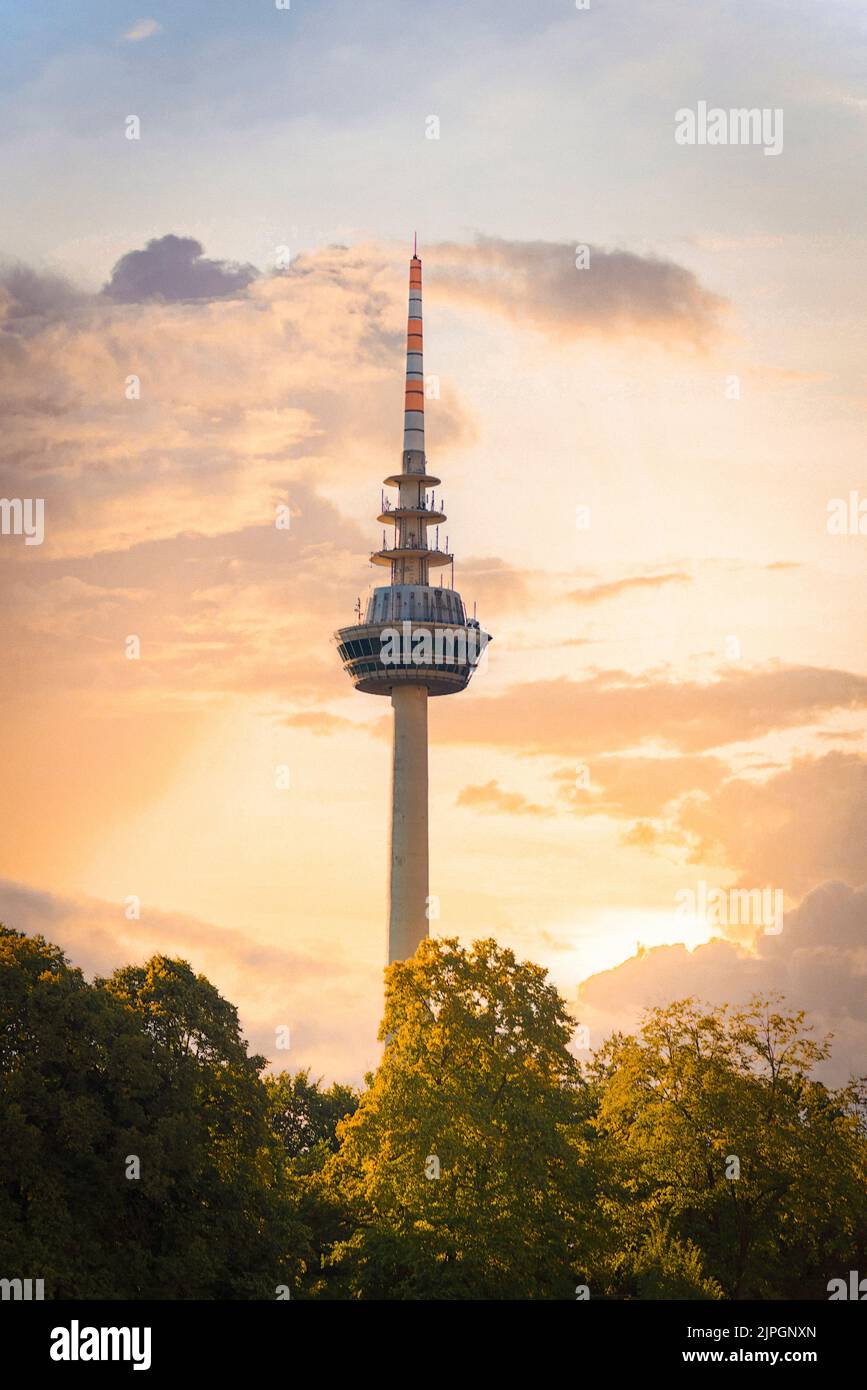 La tour des télécommunications dans le parc Luisenpark avec des arbres verdoyants et une vue sur le coucher du soleil en arrière-plan Banque D'Images