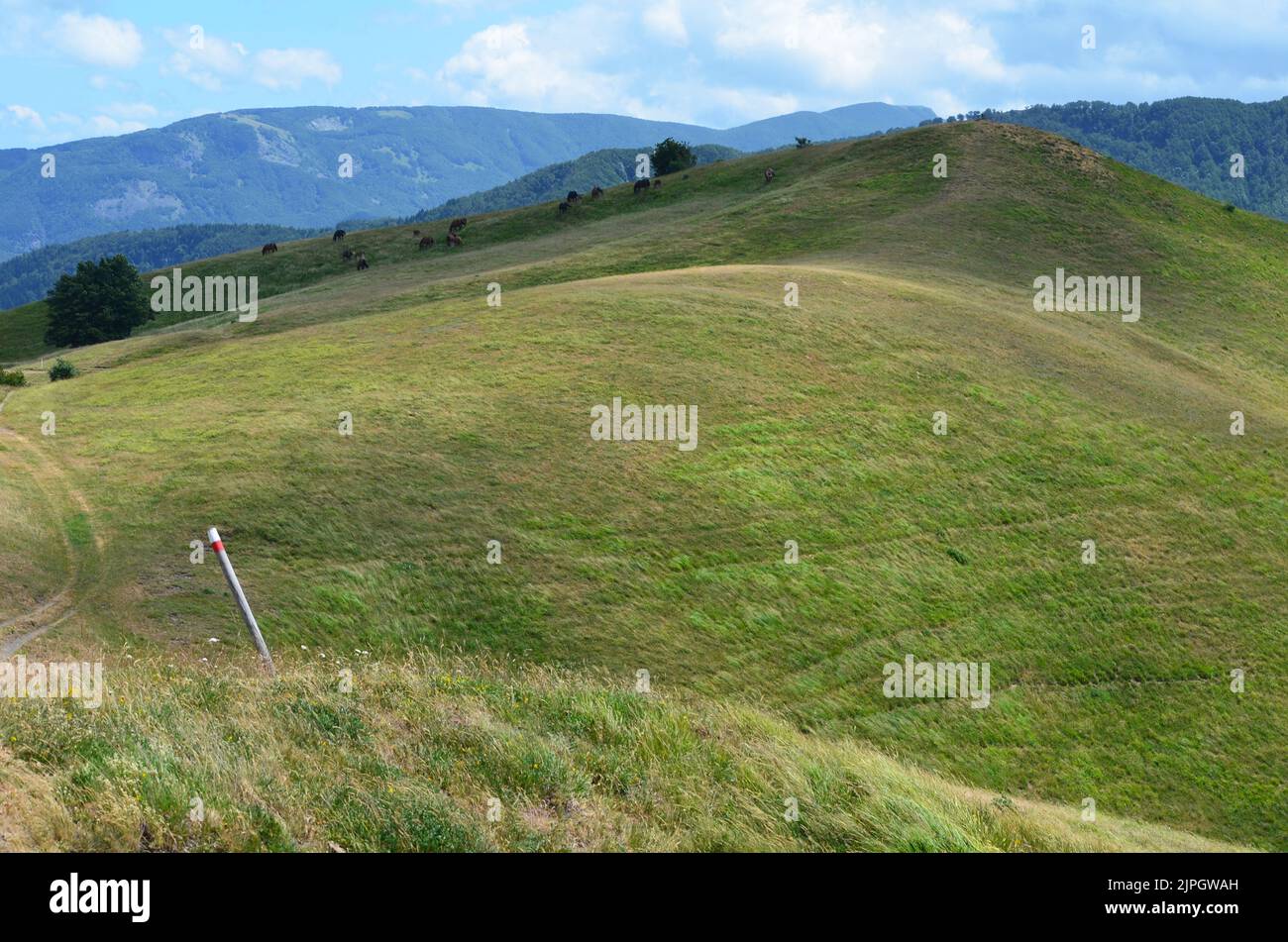 Parco Nazionale dell'Appennino Tosco-Emiliano, un parc national verdoyant et montagneux dans le nord de l'Italie Banque D'Images