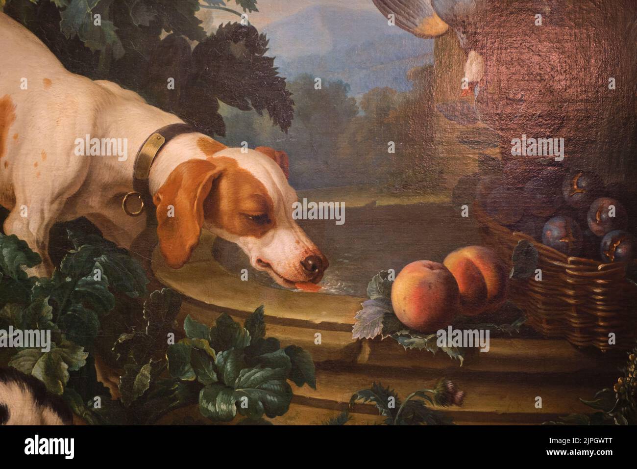 Détail d'une peinture d'un ancien maître, représentant un chien de chasse buvant dans une fontaine. Au Wallace Collection Museum de Londres, Angleterre, Royaume-Uni. Banque D'Images
