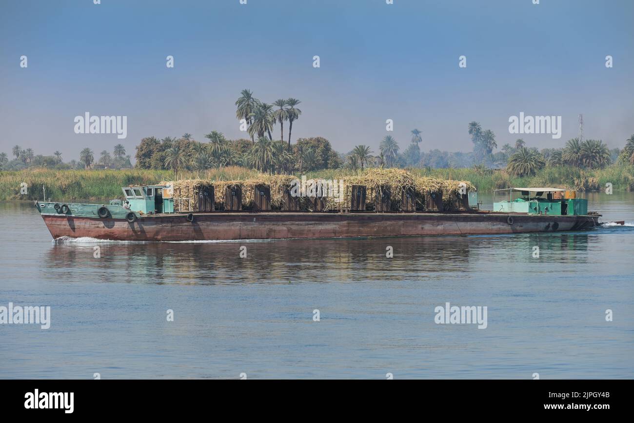Transportschiff Zuckerrohr, Nil nahe Esna, Ägitten Banque D'Images